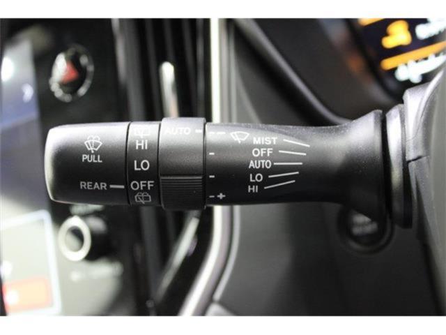 アウトバック(新潟県新潟市東区)