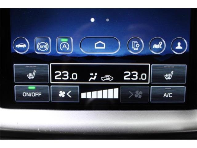 アウトバック(新潟県新潟市東区)