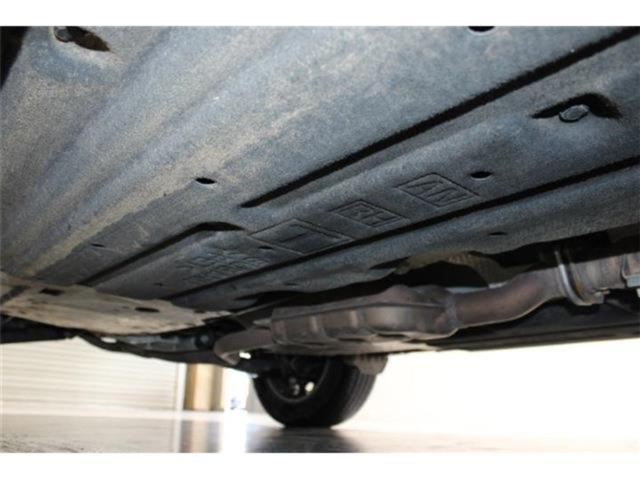 アウトバック(新潟県新潟市東区)