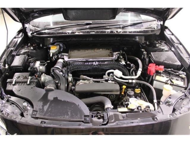 アウトバック(新潟県新潟市東区)