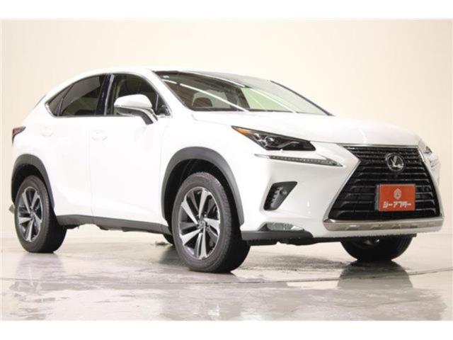 レクサスＮＸ（新潟県新潟市東区）