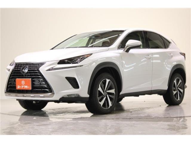 レクサスＮＸ（新潟県新潟市東区）