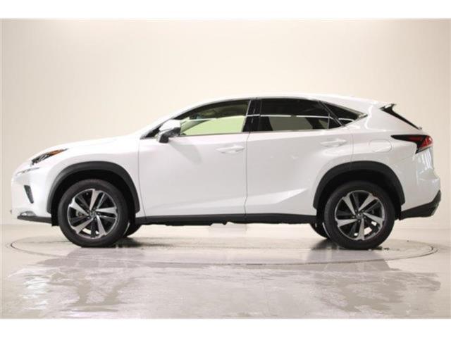 レクサスＮＸ（新潟県新潟市東区）