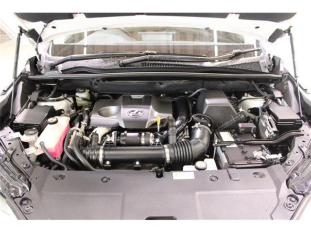 レクサスＮＸ（新潟県新潟市東区）