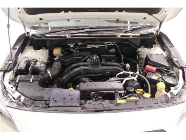 スバルXV（新潟県新潟市東区）