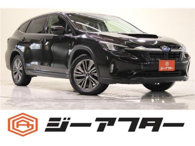 レヴォーグレイバック（新潟県新潟市東区）