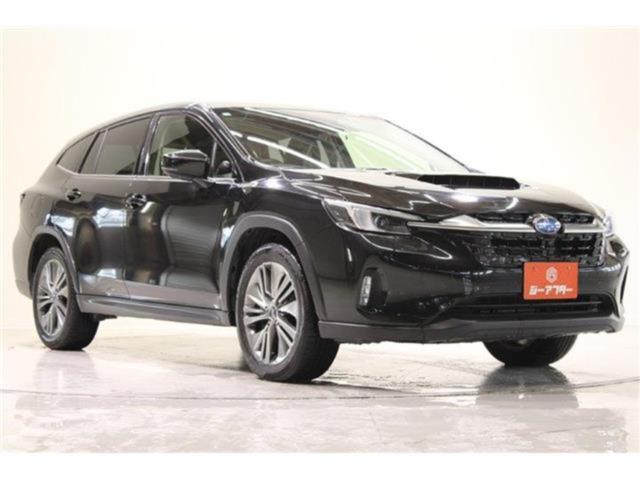 レヴォーグレイバック（新潟県新潟市東区）画像8