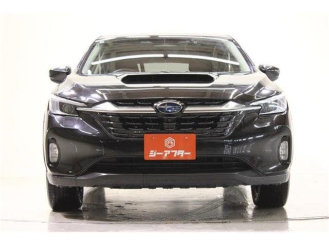 レヴォーグレイバック（新潟県新潟市東区）画像9