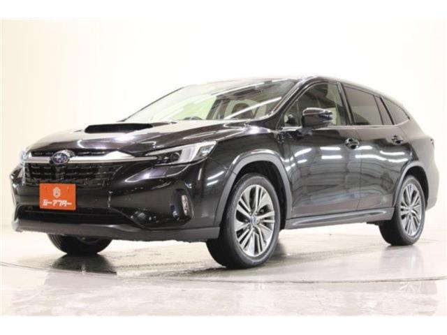 レヴォーグレイバック（新潟県新潟市東区）画像10