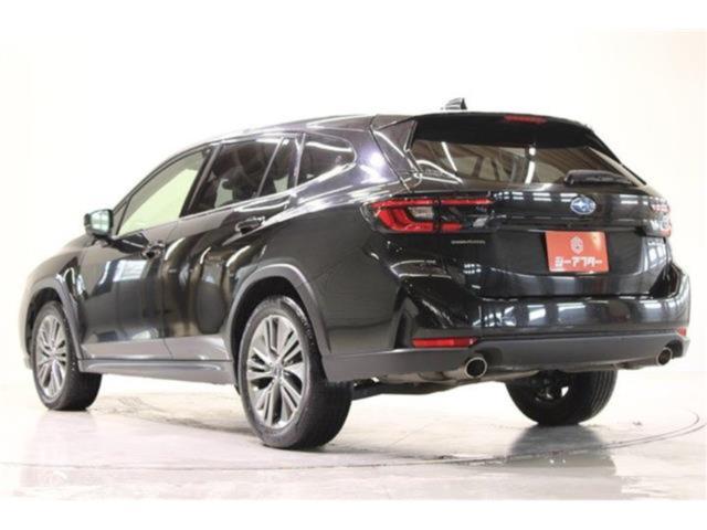 レヴォーグレイバック（新潟県新潟市東区）画像12