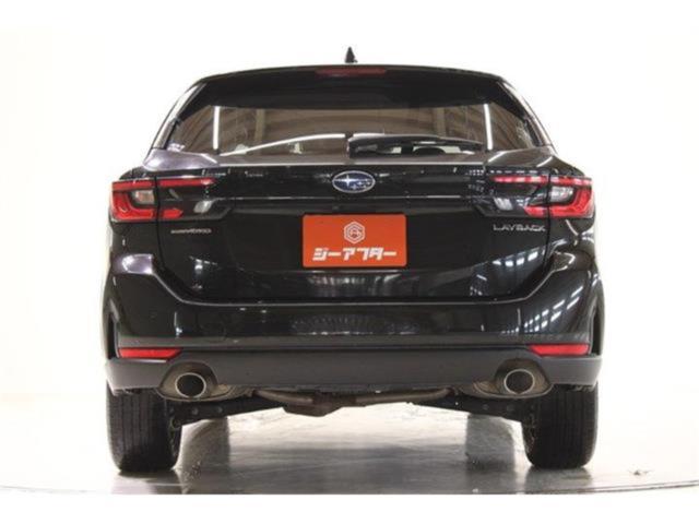 レヴォーグレイバック（新潟県新潟市東区）画像13