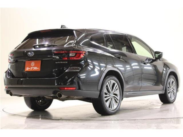 レヴォーグレイバック（新潟県新潟市東区）画像14