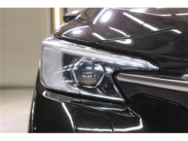 レヴォーグレイバック（新潟県新潟市東区）画像19