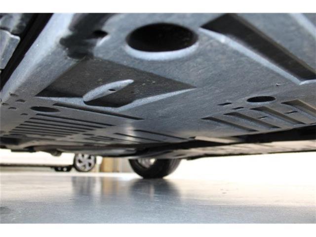 プリウス（新潟県新潟市東区）