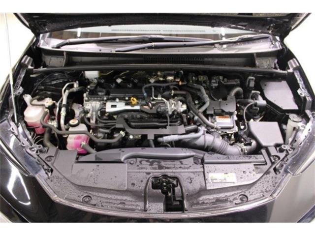 プリウス（新潟県新潟市東区）