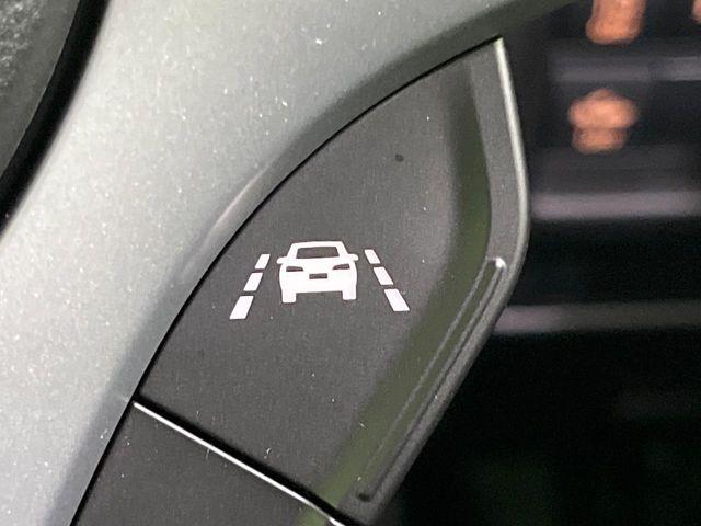 ハスラー（新潟県長岡市）