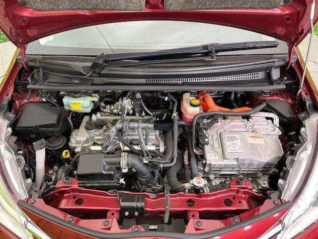 ヴィッツ（新潟県新潟市東区）