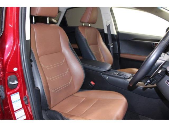 レクサスＮＸ（新潟県新潟市東区）