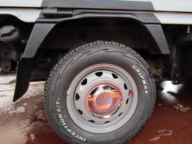 キャリイトラック(新潟県糸魚川市)