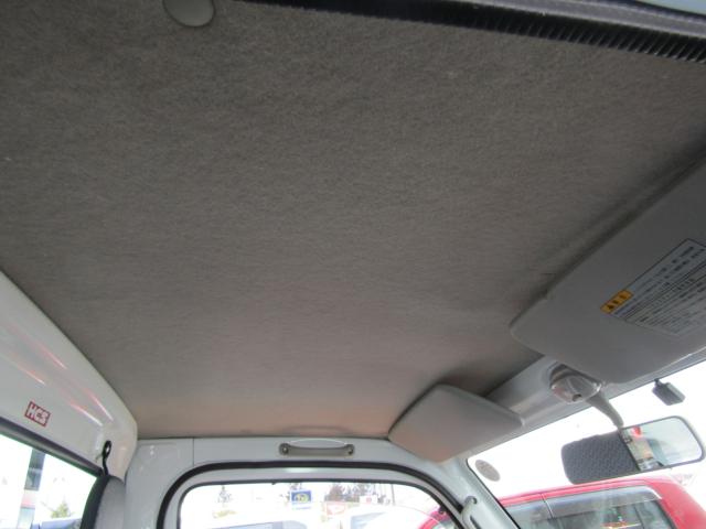 キャリイトラック(新潟県糸魚川市)