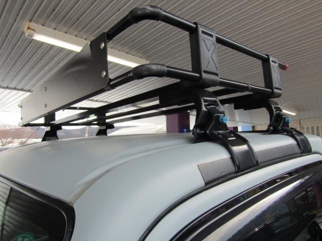 キャリイトラック(新潟県糸魚川市)