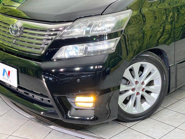 ヴェルファイア(新潟県新潟市東区)