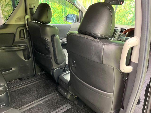 ヴェルファイア(新潟県新潟市東区)