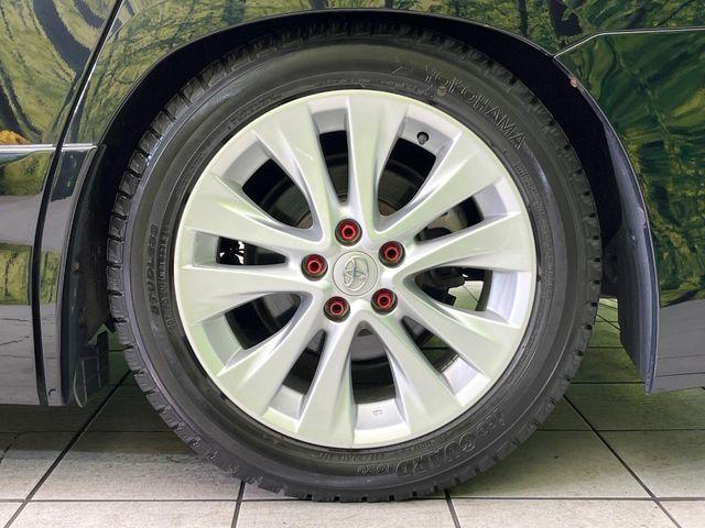 ヴェルファイア(新潟県新潟市東区)