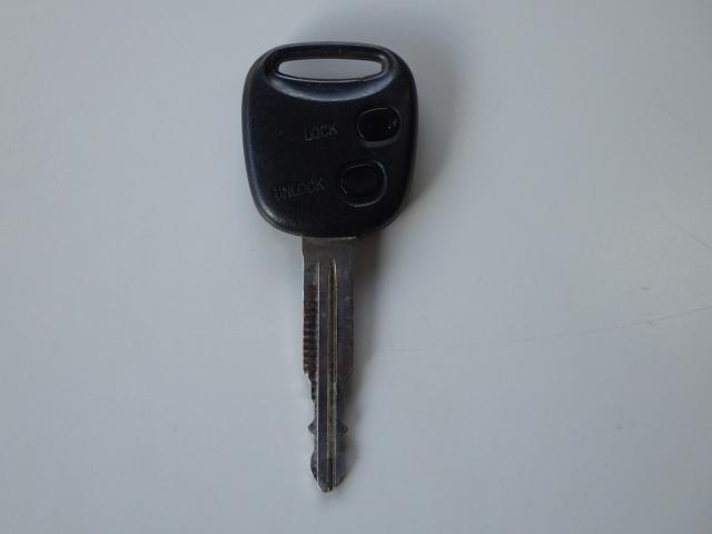 テリオスキッド（新潟県新潟市中央区）