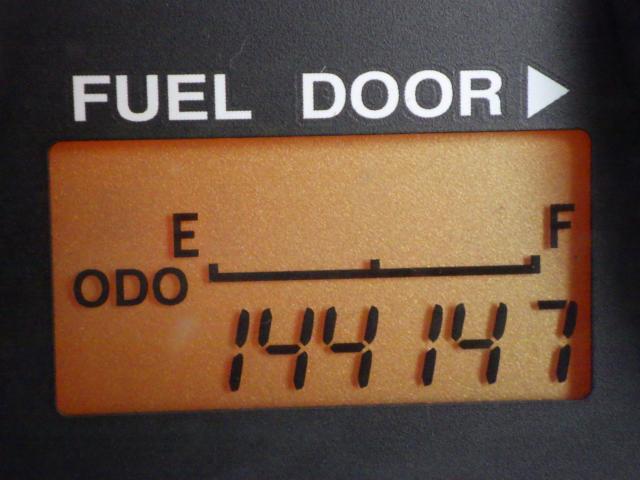 テリオスキッド（新潟県新潟市中央区）