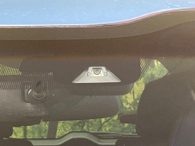 フリード（新潟県新潟市南区）