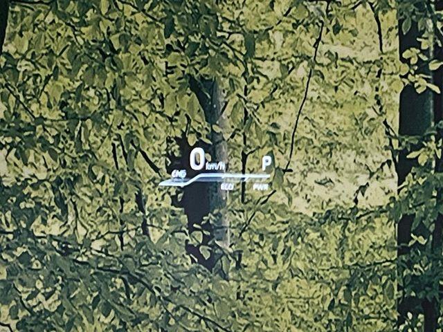 ハリアーハイブリッド（新潟県新潟市東区）画像53