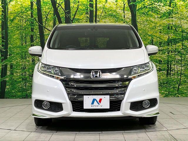 オデッセイ（新潟県長岡市）