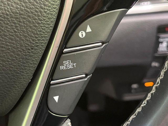 オデッセイ（新潟県長岡市）