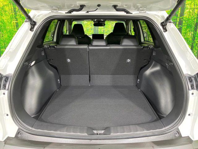 カローラクロス（新潟県長岡市）