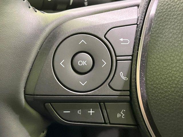 カローラクロス（新潟県長岡市）