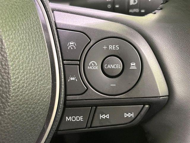 カローラクロス（新潟県長岡市）