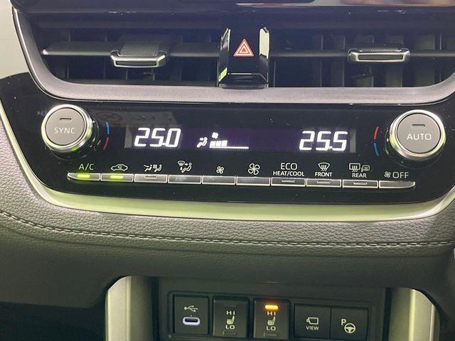 カローラクロス（新潟県長岡市）