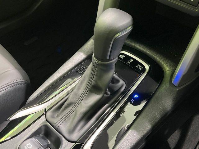 カローラクロス（新潟県長岡市）