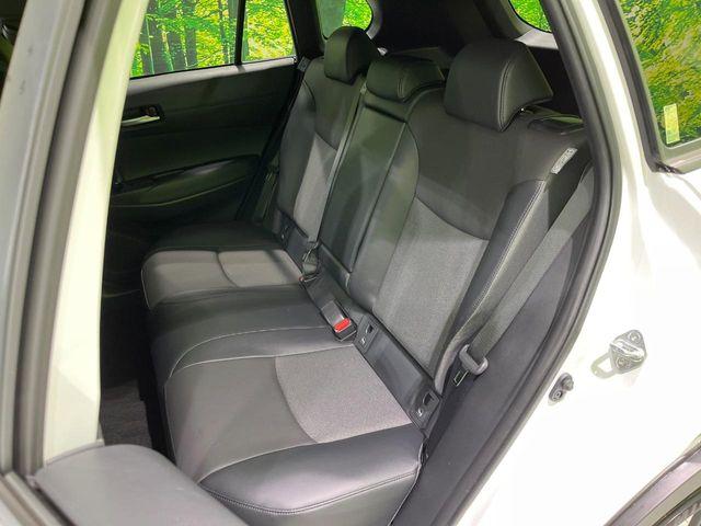 カローラクロス（新潟県長岡市）