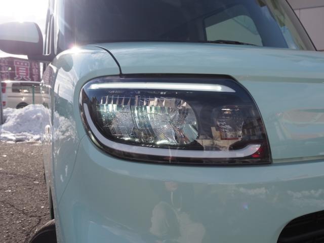 タント(新潟県新潟市西区)