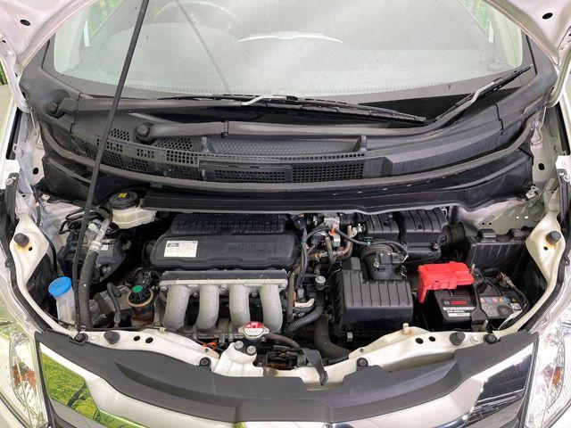 フリード（新潟県新潟市東区）