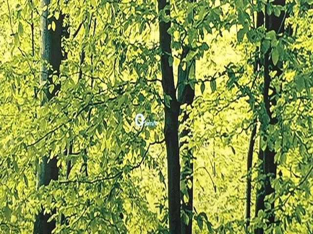 CX-8（新潟県新潟市南区）