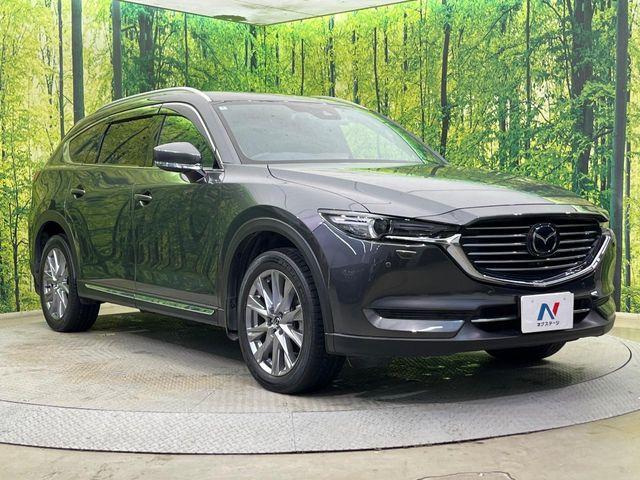 CX-8（新潟県新潟市南区）