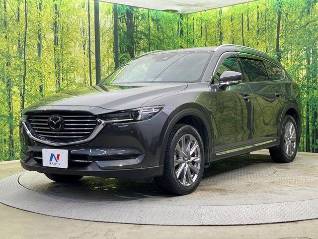 CX-8（新潟県新潟市南区）