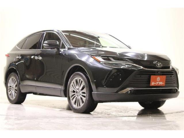 ハリアー（新潟県新潟市東区）