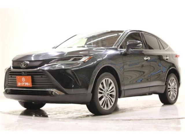 ハリアー（新潟県新潟市東区）