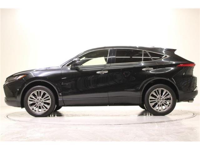 ハリアー（新潟県新潟市東区）