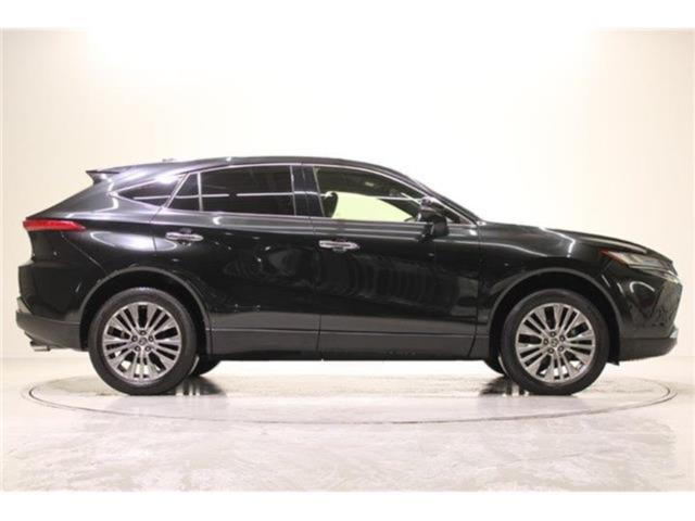 ハリアー（新潟県新潟市東区）