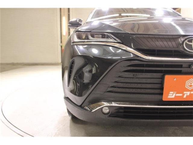 ハリアー（新潟県新潟市東区）